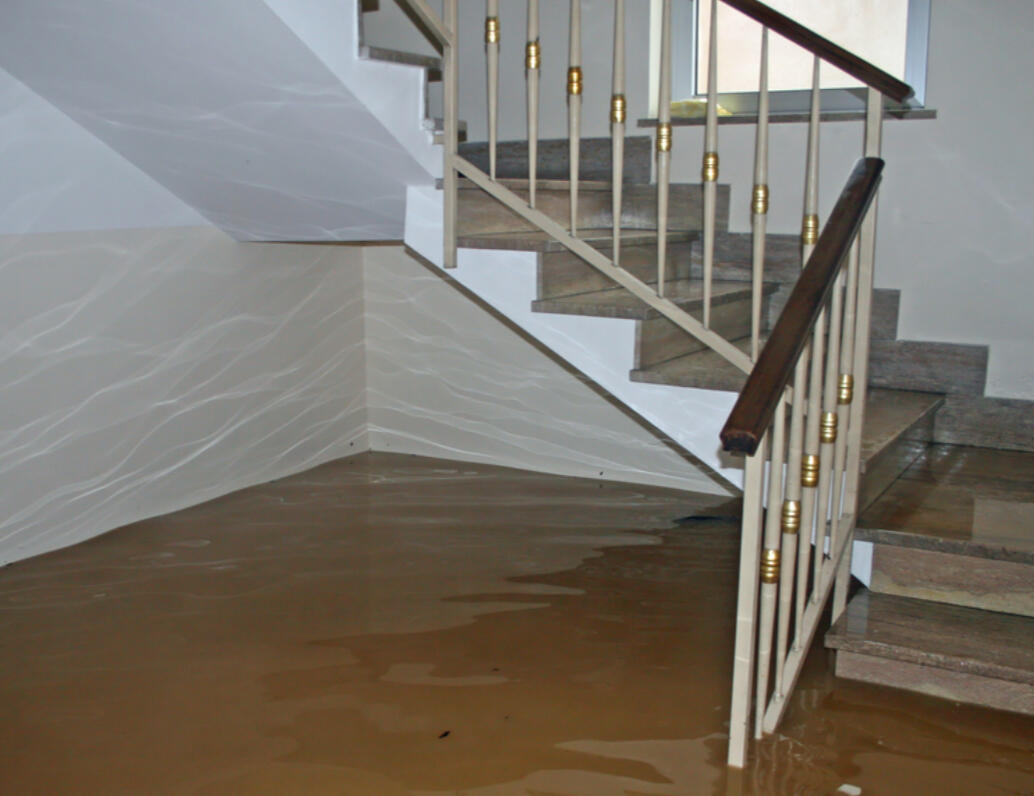 Flood Restoration